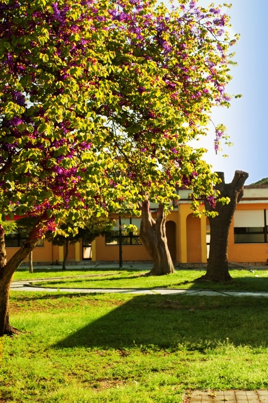 Il video di presentazione della nostra scuola